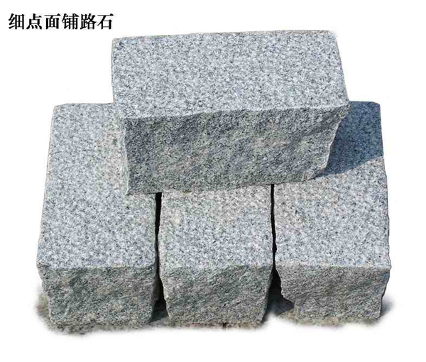 paving stone and steps